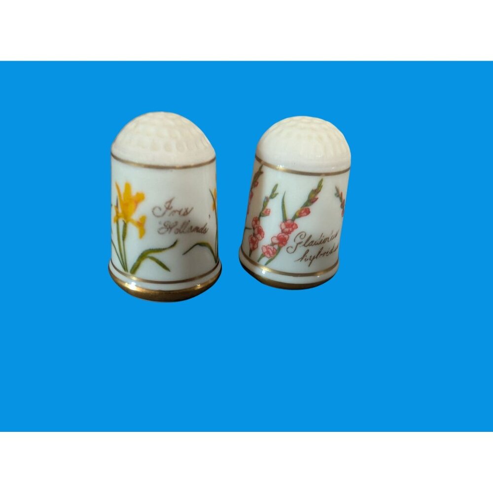 Vintage 1978 Set of 12 Flower Thimbles Franklin Porselein Bloemen Van Nederland - Picture 6 of 9